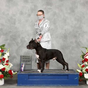 Meet your Posher, Sheree